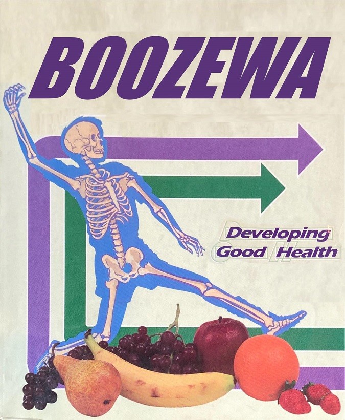 Boozewa Developing Good Health cover art